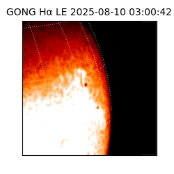 gong - 2025-08-10T03:00:42