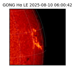 gong - 2025-08-10T06:00:42