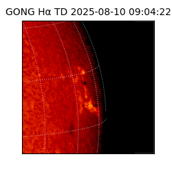 gong - 2025-08-10T09:04:22