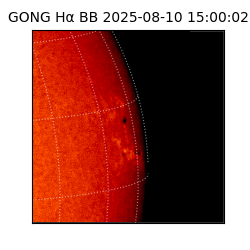 gong - 2025-08-10T15:00:02