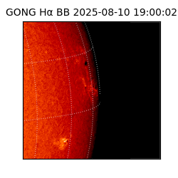 gong - 2025-08-10T19:00:02