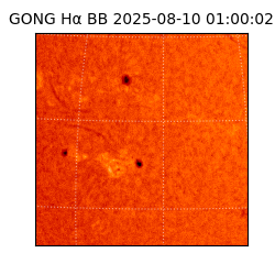 gong - 2025-08-10T01:00:02