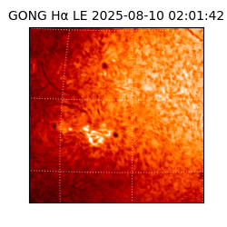 gong - 2025-08-10T02:01:42