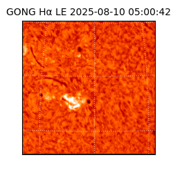 gong - 2025-08-10T05:00:42