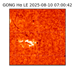 gong - 2025-08-10T07:00:42