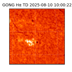 gong - 2025-08-10T10:00:22