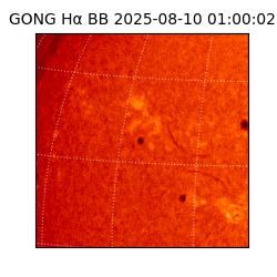 gong - 2025-08-10T01:00:02