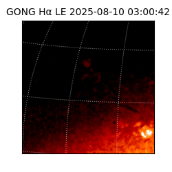 gong - 2025-08-10T03:00:42