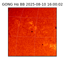 gong - 2025-08-10T16:00:02