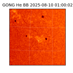 gong - 2025-08-10T01:00:02