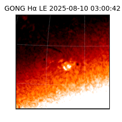 gong - 2025-08-10T03:00:42
