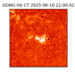 gong - 2025-08-10T21:00:42
