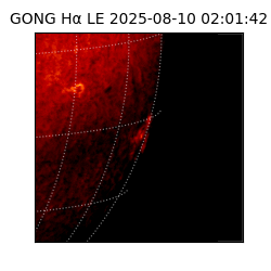 gong - 2025-08-10T02:01:42