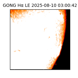 gong - 2025-08-10T03:00:42