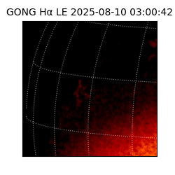 gong - 2025-08-10T03:00:42