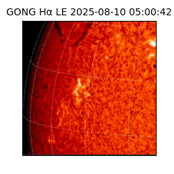 gong - 2025-08-10T05:00:42