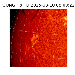 gong - 2025-08-10T08:00:22