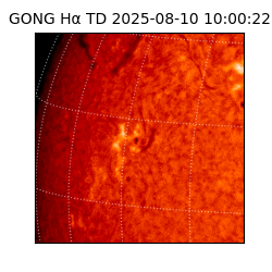 gong - 2025-08-10T10:00:22
