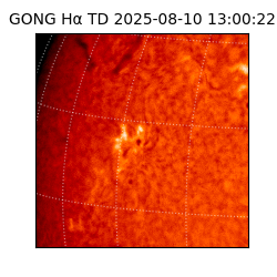 gong - 2025-08-10T13:00:22