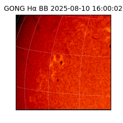 gong - 2025-08-10T16:00:02
