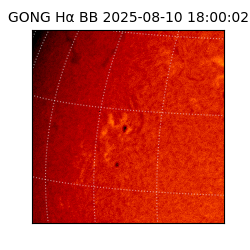 gong - 2025-08-10T18:00:02