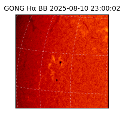 gong - 2025-08-10T23:00:02