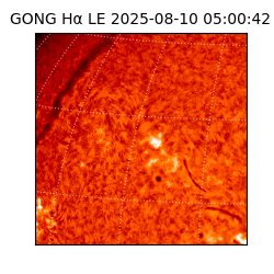 gong - 2025-08-10T05:00:42