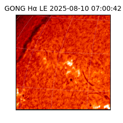 gong - 2025-08-10T07:00:42