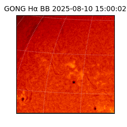 gong - 2025-08-10T15:00:02