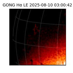 gong - 2025-08-10T03:00:42