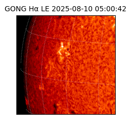 gong - 2025-08-10T05:00:42