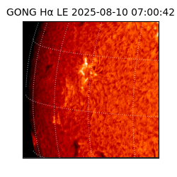gong - 2025-08-10T07:00:42