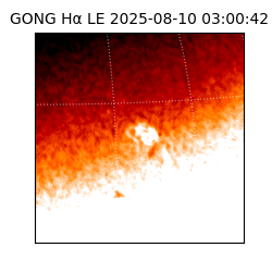 gong - 2025-08-10T03:00:42