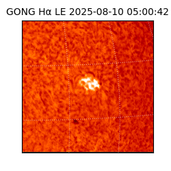 gong - 2025-08-10T05:00:42