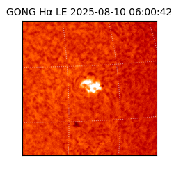 gong - 2025-08-10T06:00:42