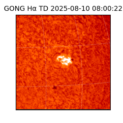 gong - 2025-08-10T08:00:22