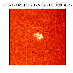gong - 2025-08-10T09:04:22