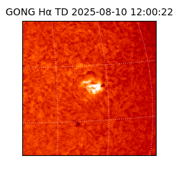 gong - 2025-08-10T12:00:22