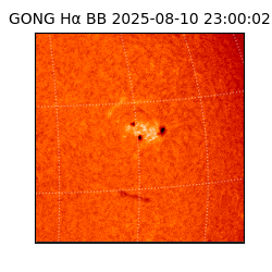 gong - 2025-08-10T23:00:02
