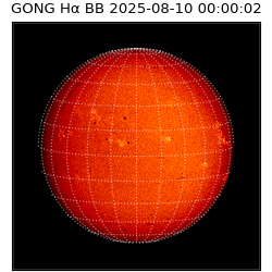 gong - 2025-08-10T00:00:02