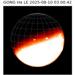 gong - 2025-08-10T03:00:42