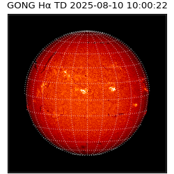 gong - 2025-08-10T10:00:22