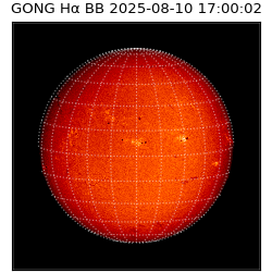 gong - 2025-08-10T17:00:02