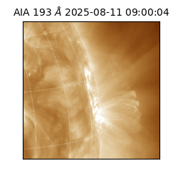 saia - 2025-08-11T09:00:04.843000