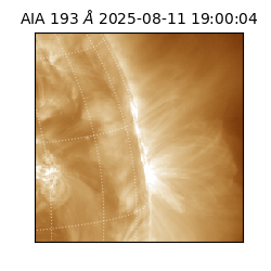 saia - 2025-08-11T19:00:04.843000