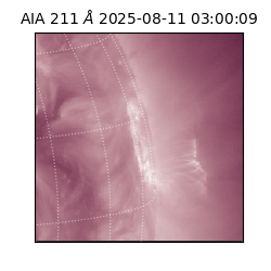 saia - 2025-08-11T03:00:09.625000