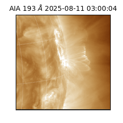 saia - 2025-08-11T03:00:04.843000