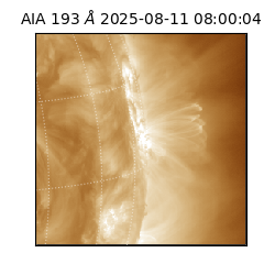 saia - 2025-08-11T08:00:04.843000