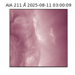 saia - 2025-08-11T03:00:09.625000