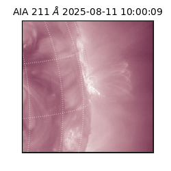 saia - 2025-08-11T10:00:09.632000